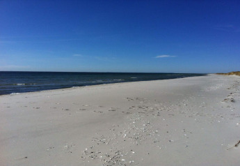Leere Sandstrand am Meer bei Hadsund, Dänemark, unter klarem Himmel an einem sonnigen Tag.