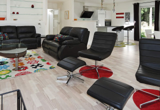Modernes Wohnzimmer in einem Ferienhaus in Hadsund, Dänemark, mit Ledersofas, buntem Teppich und Küche.