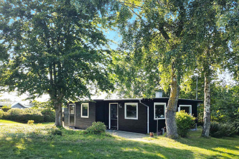 Four-person black holiday lodge in Allingåbro, Denmark, nestled among lush trees and green grass lawn.