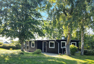 Four-person black holiday lodge in Allingåbro, Denmark, nestled among lush trees and green grass lawn.