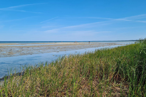 Kustzicht in Allingåbro, Denemarken, met strandgras, slikken en een stralend blauwe lucht.