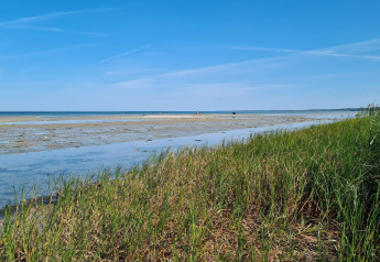Kustzicht in Allingåbro, Denemarken, met strandgras, slikken en een stralend blauwe lucht.