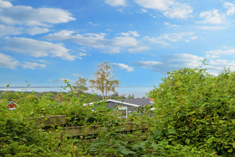 View of green bushes, trees, and a holiday home under a blue sky with clouds in Allingåbro, Denmark.
