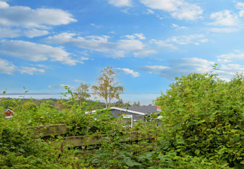 Aussicht auf grüne Büsche, Bäume und ein Ferienhaus unter blauem Himmel mit Wolken in Allingåbro, Dänemark.
