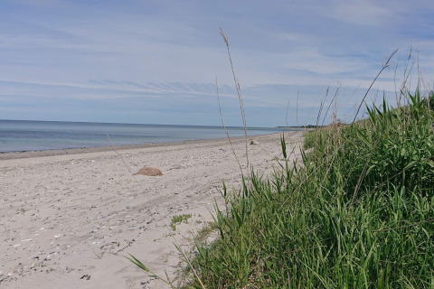 Strandudsigt fra fire-personers sommerhus i Allingåbro, Danmark, med sand, hav og grøn vegetation.