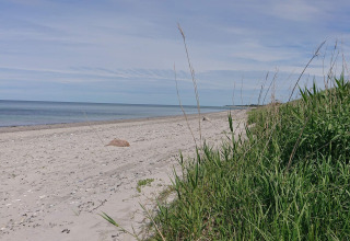 Strandudsigt fra fire-personers sommerhus i Allingåbro, Danmark, med sand, hav og grøn vegetation.