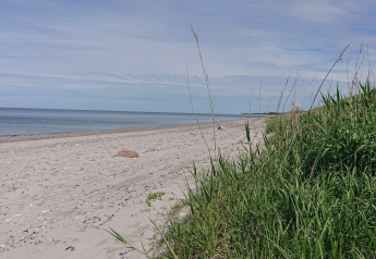 Strandudsigt fra fire-personers sommerhus i Allingåbro, Danmark, med sand, hav og grøn vegetation.