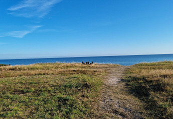 Padje door gras richting bankje aan zee bij het 4-persoons vakantiehuis in Allingåbro, Denemarken.