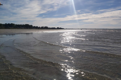Sunlight reflecting on shallow coastal water near 4 person holiday home in Allingåbro, Denmark.