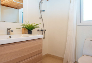 Bagno moderno con doccia, lavabo, specchio, WC e pianta in vaso in una casa vacanze a Allingåbro, Danimarca.