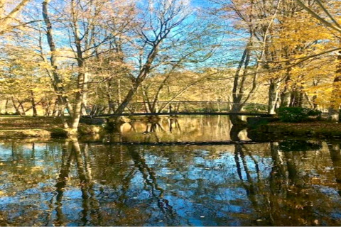 Billede af en stille dam med bro ved et skovklædt chalet, træer og himmel reflekteres i vandet.