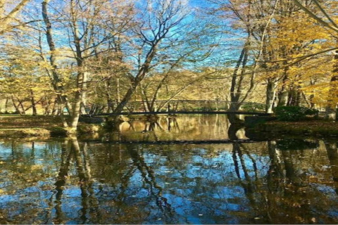 Photo d’un étang paisible avec un pont près d’un chalet boisé, arbres et ciel se reflétant dans l’eau.
