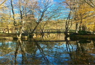 Photo d’un étang paisible avec un pont près d’un chalet boisé, arbres et ciel se reflétant dans l’eau.