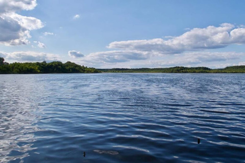 Zicht op een rustige plas met groene bomen en blauwe lucht vanaf een glampingaccommodatie.
