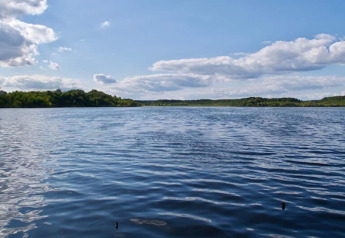 Vista de un lago tranquilo con árboles verdes y cielo azul, tomada desde un alojamiento glamping.