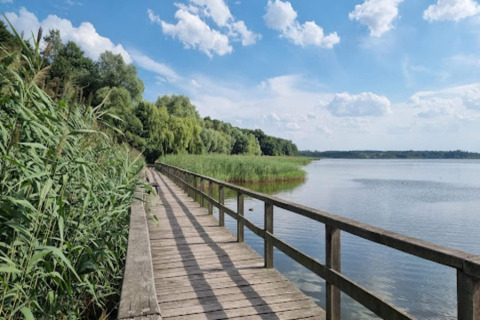 Houten wandelpad bij een sereen meer, omringd door natuur aan een glampingaccommodatie.