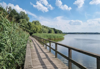 Houten wandelpad bij een sereen meer, omringd door natuur aan een glampingaccommodatie.