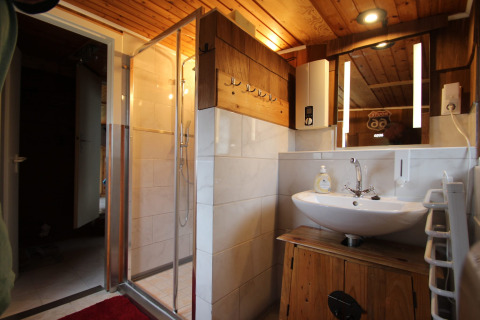 Badeværelse med træloft og vægge, brusekabine, vask og spejl på Holiday home Susanne i Tyskland.