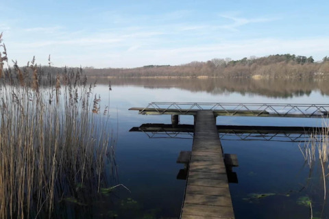 Houten steiger aan een rustig meer met riet, genomen vanuit Bungalow '50 qm 5 Pers' in Duitsland.