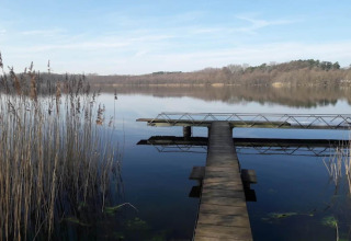 Houten steiger aan een rustig meer met riet, genomen vanuit Bungalow '50 qm 5 Pers' in Duitsland.