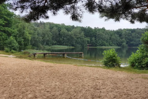 Afbeelding van een zandstrand met een houten pier aan een rustig meer, omringd door bos op een glamping.