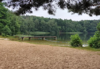 Afbeelding van een zandstrand met een houten pier aan een rustig meer, omringd door bos op een glamping.