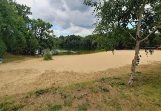 Glampingverblijf met zandstrand, rustige vijver en omliggend bos, perfect om te ontspannen in de natuur.