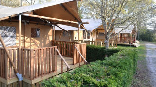 Lodges en tente safari de luxe avec vérandas en bois et haies vertes au Luxury Lodge 40.