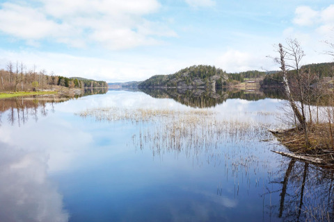 Vista tranquilla del lago con riflesso del cielo, circondato da alberi vicino casa vacanza a Hällevadsholm, Svezia.