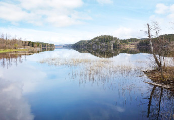 Rustig meer met weerspiegelde lucht, omringd door bomen bij 4-persoons vakantiehuis in Hällevadsholm, Zweden.