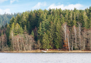 Aussicht auf einen See und dichte Kiefernwälder bei einem 4-Personen-Ferienhaus in Hällevadsholm, Schweden.