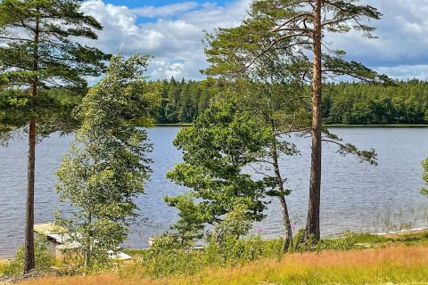 Vista de un lago sereno en Suecia con árboles verdes, muelle pequeño y cielo azul cerca de una villa.