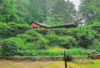 Rotes Ferienhaus inmitten grüner Natur in Tjörnarp, Schweden, versteckt hinter üppigen Büschen.
