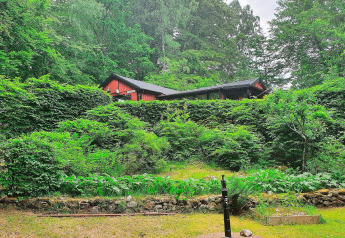 Rotes Ferienhaus inmitten grüner Natur in Tjörnarp, Schweden, versteckt hinter üppigen Büschen.