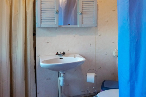 Badkamer met lavabo, spiegelkast, toiletrolhouder en douchegordijn in een lodge in Norrtälje, Zweden.