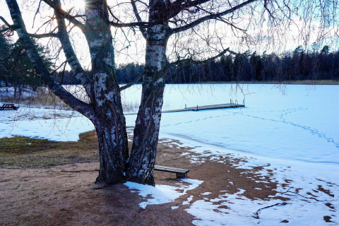 Vinterlandskab ved frossen sø i Norrtälje, Sverige, med træer, sne og en træbro i baggrunden.
