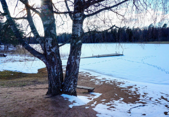 Winterliche Szene an einem zugefrorenen See in Norrtälje, Schweden, mit Bäumen und Steg.