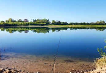 Fredfyldt sø ved Eskebjerg med klart spejlbillede af træer og himmel, fiskestang i forgrunden.