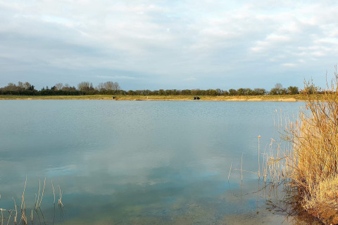 Rustig meer met riet en bewolkte lucht bij Eskebjerg, Denemarken, gezien vanaf een 6-persoons lodge.