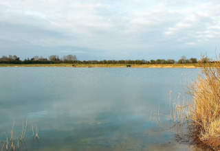 Ruhiger See mit Schilf und bewölktem Himmel bei Eskebjerg, Dänemark, nahe einer 6-Personen-Lodge.