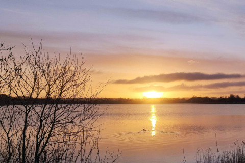 Wunderschöner Sonnenaufgang über einem See bei 6-Person Home in Eskebjerg, Dänemark, mit einer Ente.