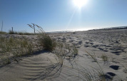 Sonniger Strand mit Dünengras bei der Ferienwohnung für 6 Personen in Melby, Dänemark.