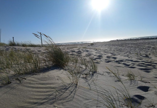 Spiaggia soleggiata con dune e erba vicino alla casa vacanze per 6 persone a Melby, Danimarca.