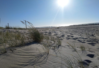 Solrig strand med klitter og marehalm, taget nær 6-personers feriehus i Melby, Danmark.