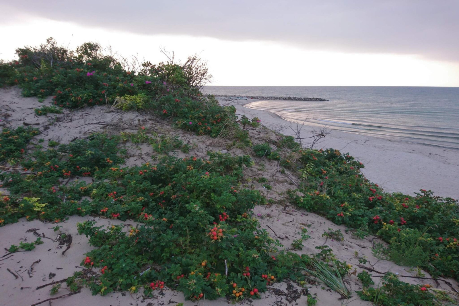 6 person holiday home in Melby