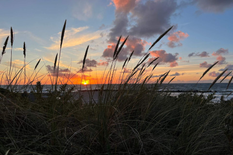 Zonsondergang aan het strand in Melby, Denemarken, door helmgras bij het vakantiehuis voor 6 personen.