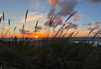 Atardecer en la playa de Melby, Dinamarca, visto entre hierba marina desde la casa de vacaciones.