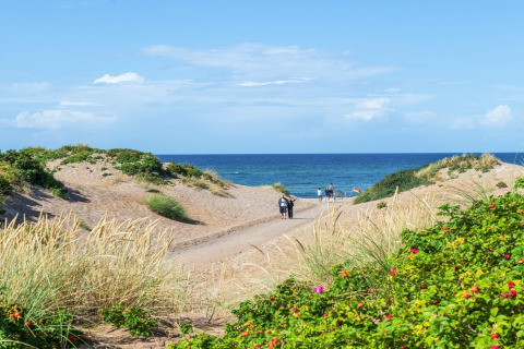 Sti gennem klitter fører til strand og hav ved feriebolig i Melby, Danmark. Blå himmel og grøn vegetation.