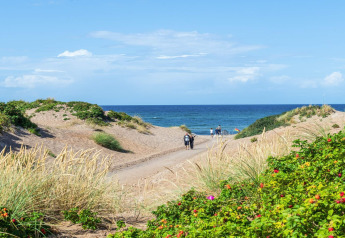 Ein sandiger Pfad schlängelt sich durch Dünen zum Meer bei einem Ferienhaus in Melby, Dänemark.