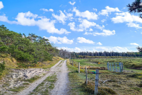 Weg durch die Natur am «6-Personen-Ferienhaus in Melby», Dänemark, mit Feldern und blauem Himmel.